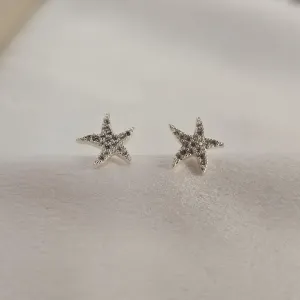 Brinco Delicado Estrela Zircônia