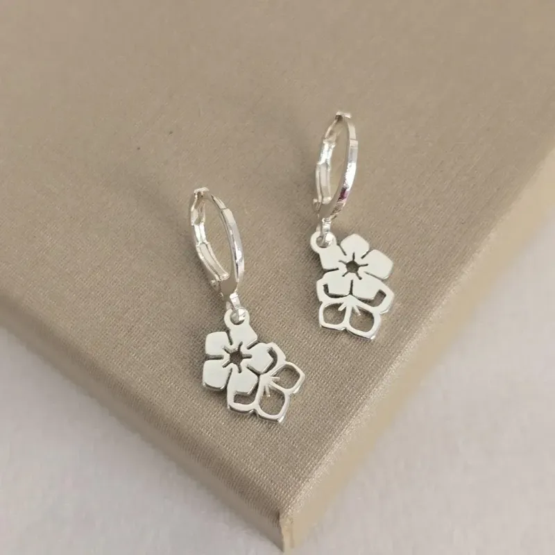 Argola Prata Minimalista