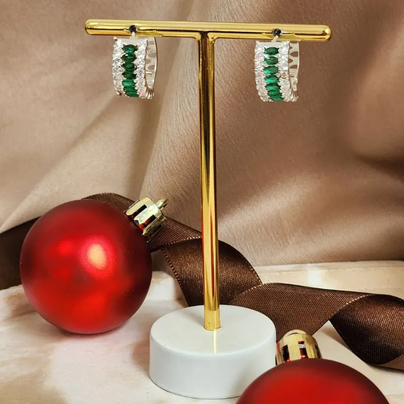 Argola Elegante Zircônia