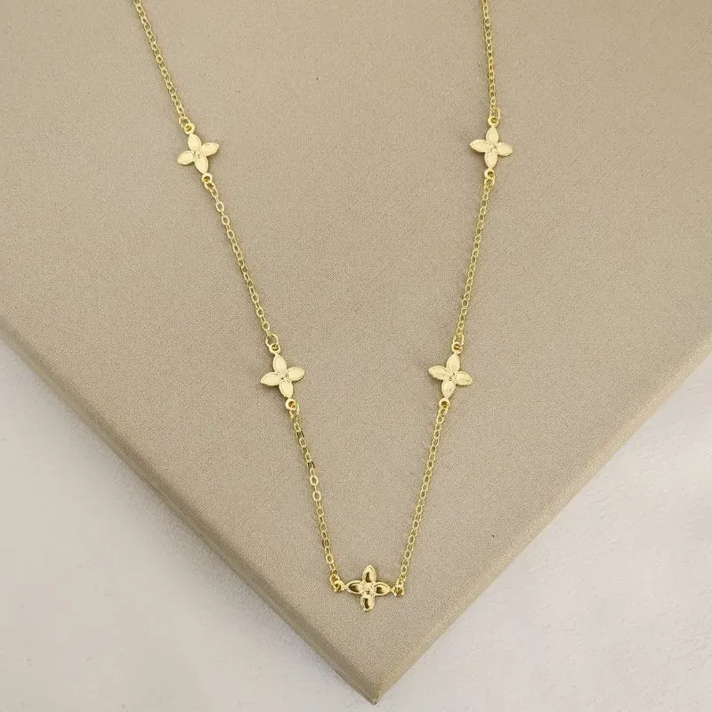 Colar Delicada Lisa V