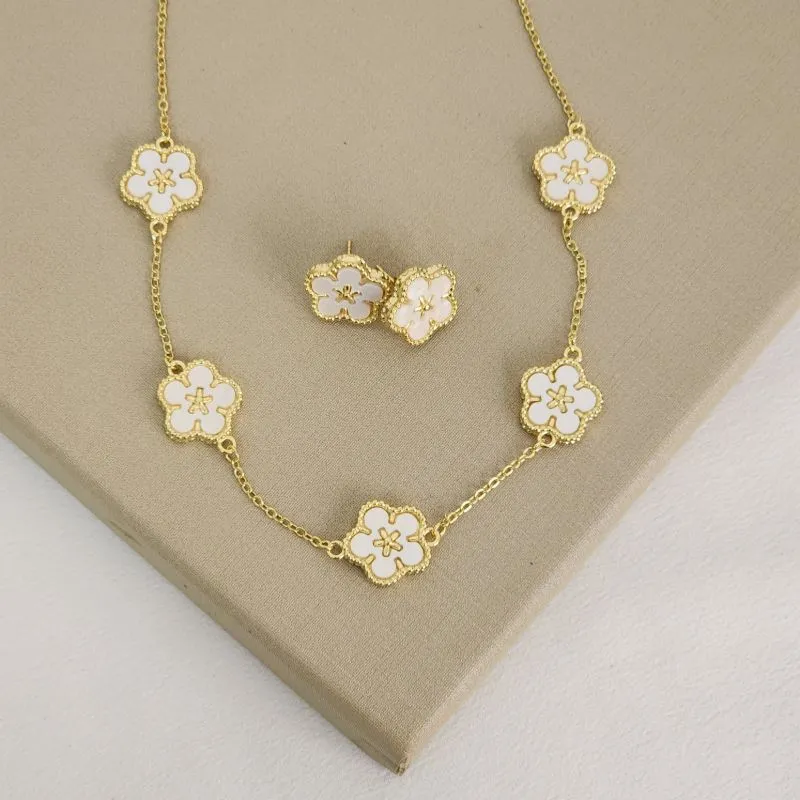 Conjunto Delicado Pedra V