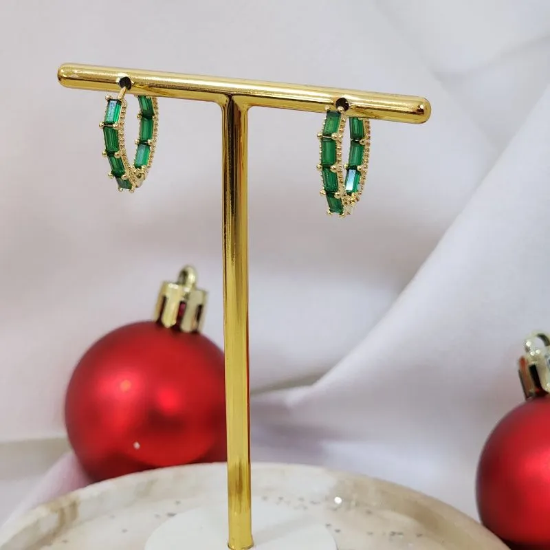 Argola Elegante Zircônia