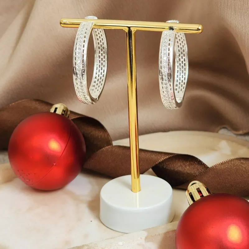 Argola Elegante Zircônia