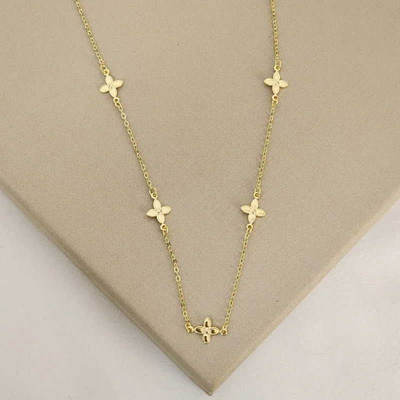 Colar Delicada Lisa V